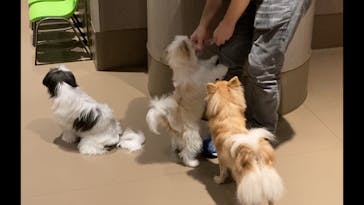 Moff animal world MARK IS みなとみらい店に投稿された画像（2021/9/5）