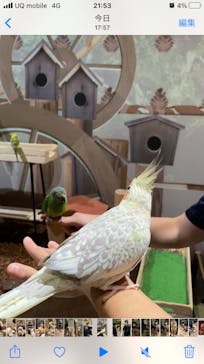 Moff animal world MARK IS みなとみらい店に投稿された画像（2021/9/5）