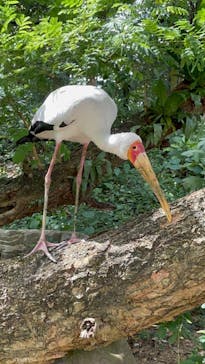 ネオパークオキナワに投稿された画像（2021/9/5）