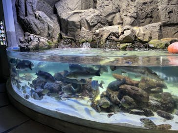 鳥羽水族館に投稿された画像（2021/9/5）