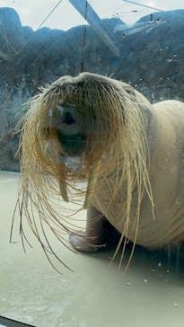 鳥羽水族館に投稿された画像（2021/9/5）