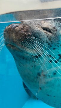 鳥羽水族館に投稿された画像（2021/9/5）
