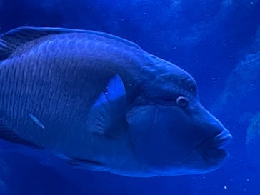 マクセル アクアパーク品川に投稿された画像（2021/9/5）