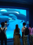 名古屋港水族館に投稿された画像（2021/9/6）