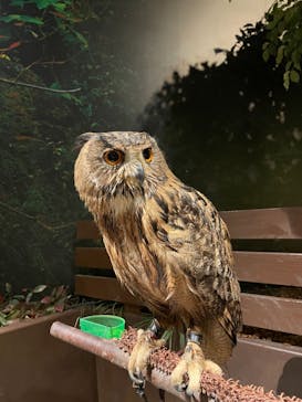 Moff animal world MARK IS みなとみらい店に投稿された画像（2021/9/6）