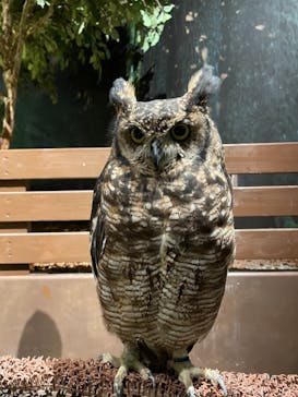 Moff animal world MARK IS みなとみらい店に投稿された画像（2021/9/6）