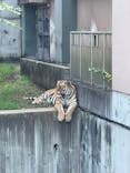天王寺動物園に投稿された画像（2021/9/6）