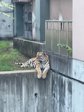 天王寺動物園に投稿された画像（2021/9/6）