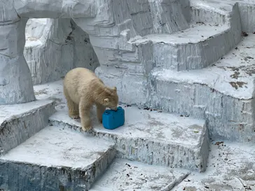 天王寺動物園に投稿された画像（2021/9/6）