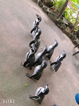 ゼロ距離水族館 伊勢シーパラダイスに投稿された画像（2021/9/6）