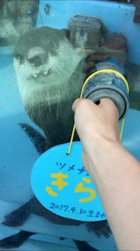 ゼロ距離水族館 伊勢シーパラダイスに投稿された画像（2021/9/6）