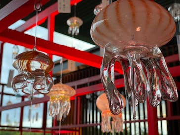 京都水族館に投稿された画像（2021/9/6）