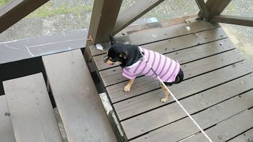 伊豆パノラマパークに投稿された画像（2021/9/6）