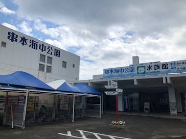 串本海中公園水族館に投稿された画像（2021/9/6）