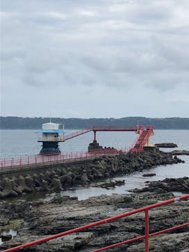 串本海中公園水族館に投稿された画像（2021/9/6）