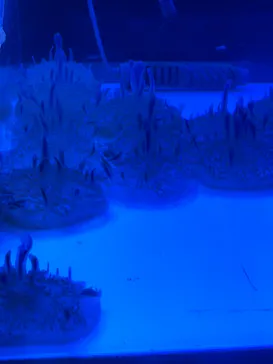 すみだ水族館に投稿された画像（2021/9/6）