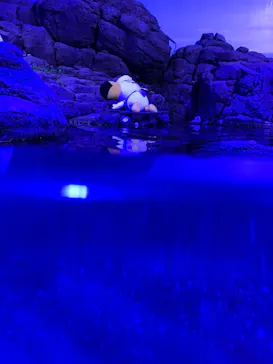 横浜・八景島シーパラダイスに投稿された画像（2021/9/6）