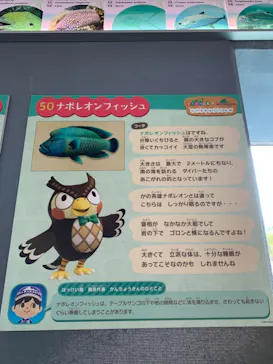 横浜・八景島シーパラダイスに投稿された画像（2021/9/6）