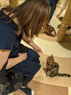 Moff animal world MARK IS みなとみらい店に投稿された画像（2021/9/6）