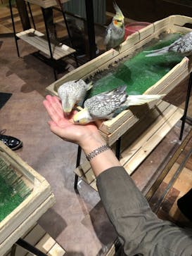 Moff animal world MARK IS みなとみらい店に投稿された画像（2021/9/6）