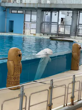 横浜・八景島シーパラダイスに投稿された画像（2021/9/6）