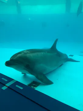 横浜・八景島シーパラダイスに投稿された画像（2021/9/6）