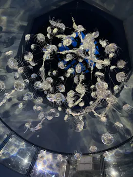 横浜・八景島シーパラダイスに投稿された画像（2021/9/6）