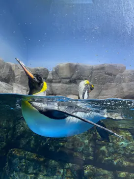 横浜・八景島シーパラダイスに投稿された画像（2021/9/6）