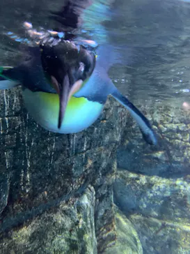 横浜・八景島シーパラダイスに投稿された画像（2021/9/6）