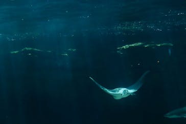 株式会社Gに投稿された画像（2021/9/7）