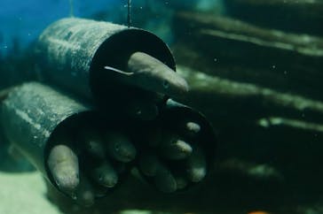 株式会社Gに投稿された画像（2021/9/7）