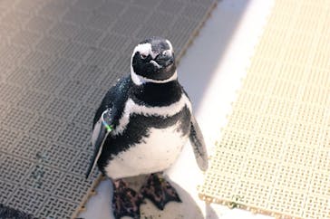 株式会社Gに投稿された画像（2021/9/7）