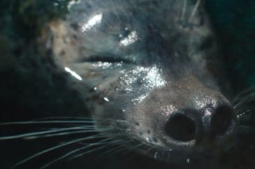 株式会社Gに投稿された画像（2021/9/7）