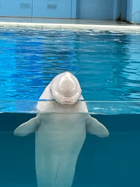 横浜・八景島シーパラダイスに投稿された画像（2021/9/7）