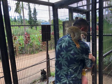 美らヤシパークオキナワ・東南植物楽園に投稿された画像（2021/9/7）