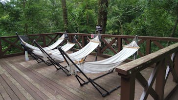 モダン湯治 おんりーゆーに投稿された画像（2021/9/7）