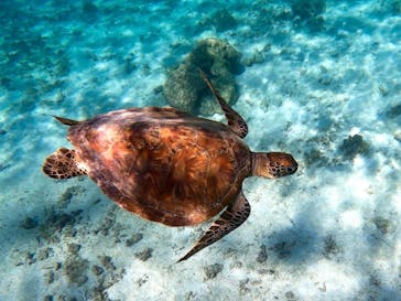 ちゃこたびに投稿された画像（2021/9/7）