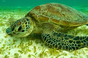 ちゃこたびに投稿された画像（2021/9/7）