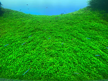 すみだ水族館に投稿された画像（2021/9/7）