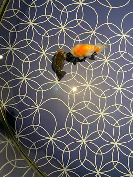 すみだ水族館に投稿された画像（2021/9/7）