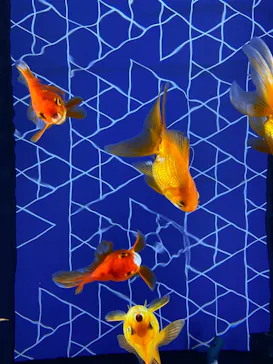 すみだ水族館に投稿された画像（2021/9/7）