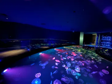 すみだ水族館に投稿された画像（2021/9/7）