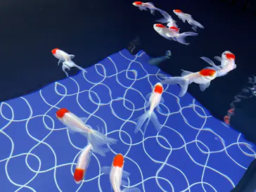 すみだ水族館に投稿された画像（2021/9/7）