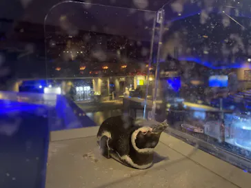 すみだ水族館に投稿された画像（2021/9/7）