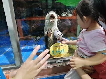 ゼロ距離水族館 伊勢シーパラダイスに投稿された画像（2021/9/7）