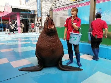 ゼロ距離水族館 伊勢シーパラダイスに投稿された画像（2021/9/7）