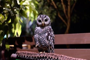 Moff animal world MARK IS みなとみらい店に投稿された画像（2021/9/8）