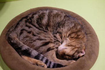 Moff animal world MARK IS みなとみらい店に投稿された画像（2021/9/8）