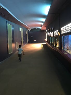 株式会社Gに投稿された画像（2021/9/8）