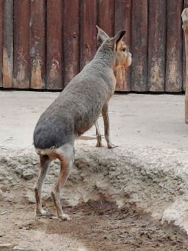 神戸どうぶつ王国に投稿された画像（2021/9/8）